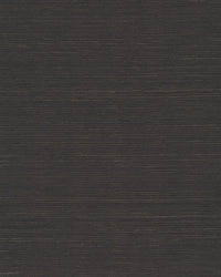 Maguey Black Sisal Wallpaper Wallpaper York Yard Black 
