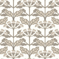 Tracery Blooms Wallpaper Wallpaper Ronald Redding Designs Double Roll White 