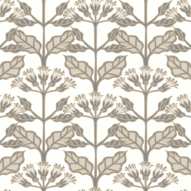 Tracery Blooms Wallpaper Wallpaper Ronald Redding Designs Double Roll White 
