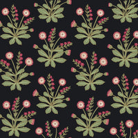 Meadow Flowers Wallpaper Wallpaper Ronald Redding Designs Double Roll Black/Rose 
