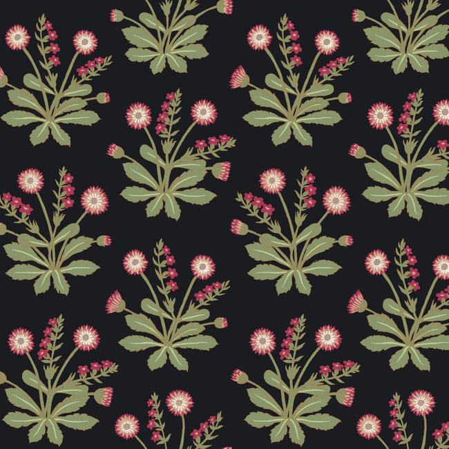 Meadow Flowers Wallpaper Wallpaper Ronald Redding Designs Double Roll Black/Rose 