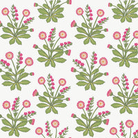 Meadow Flowers Wallpaper Wallpaper Ronald Redding Designs Double Roll White/Rose 