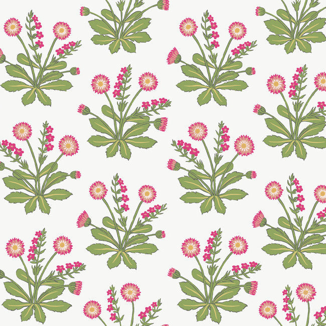 Meadow Flowers Wallpaper Wallpaper Ronald Redding Designs Double Roll White/Rose 