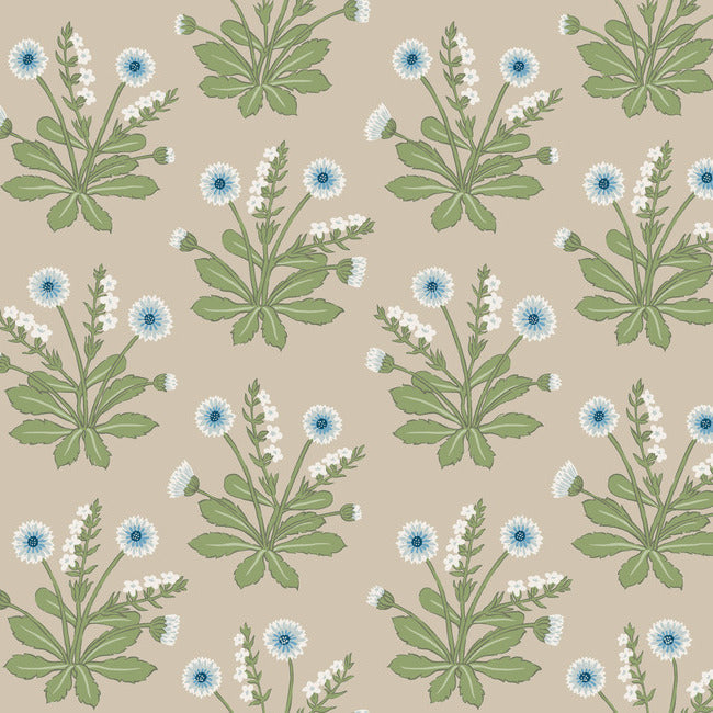 Meadow Flowers Wallpaper Wallpaper Ronald Redding Designs