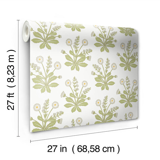Meadow Flowers Wallpaper Wallpaper Ronald Redding Designs   