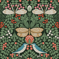 Butterfly Garden Wallpaper Wallpaper Ronald Redding Designs Double Roll Green 