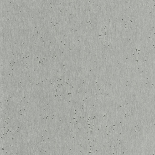 Burnished Patina Wallpaper Wallpaper Ronald Redding Designs Yard White Silver 