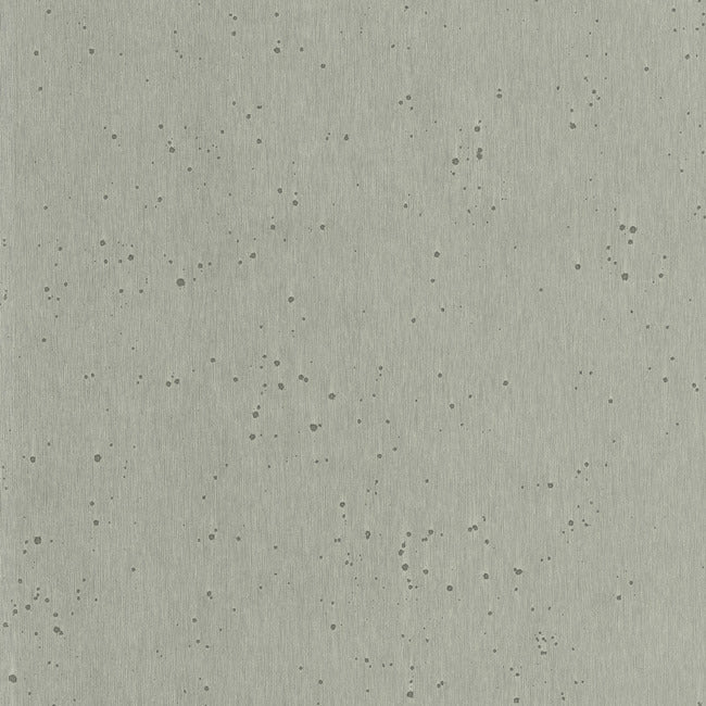 Burnished Patina Wallpaper Wallpaper Ronald Redding Designs Yard Silver 
