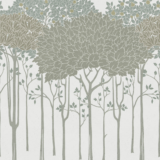 Oakwood Grove Wallpaper Border Wallpaper Border Ronald Redding Designs Yard White 