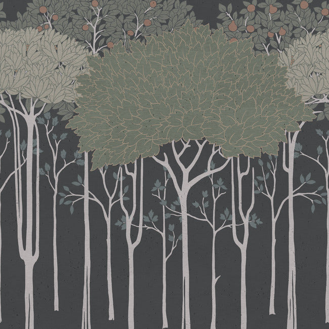 Oakwood Grove Wallpaper Border Wallpaper Border Ronald Redding Designs Yard Black 