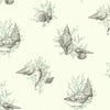 Shell Toile Wallpaper Wallpaper Ashford House Double Roll Teal/Black 