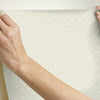 Fretwork Wallpaper Wallpaper Ronald Redding Designs   