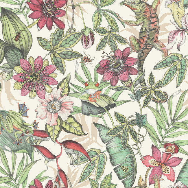 Rainforest Wallpaper Wallpaper York Wallcoverings Double Roll White/Soft Multi 
