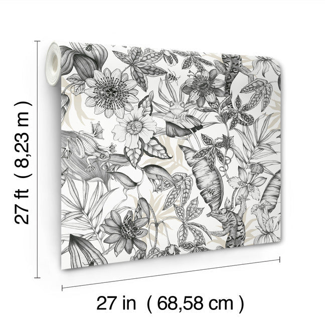 Rainforest Wallpaper Wallpaper York Wallcoverings   