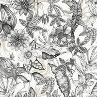 Rainforest Wallpaper Wallpaper York Wallcoverings Double Roll White/Charcoal 