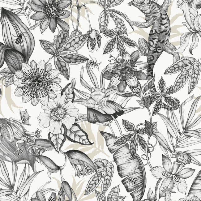 Rainforest Wallpaper Wallpaper York Wallcoverings Double Roll White/Charcoal 