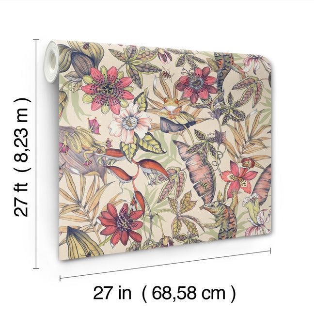 Rainforest Wallpaper Wallpaper York Wallcoverings   