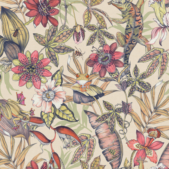 Rainforest Wallpaper Wallpaper York Wallcoverings Double Roll Cream/Bright Mult 