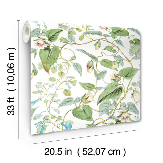 Moon Flower Wallpaper Wallpaper York Wallcoverings   