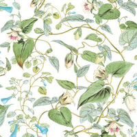 Moon Flower Wallpaper Wallpaper York Wallcoverings Double Roll White 