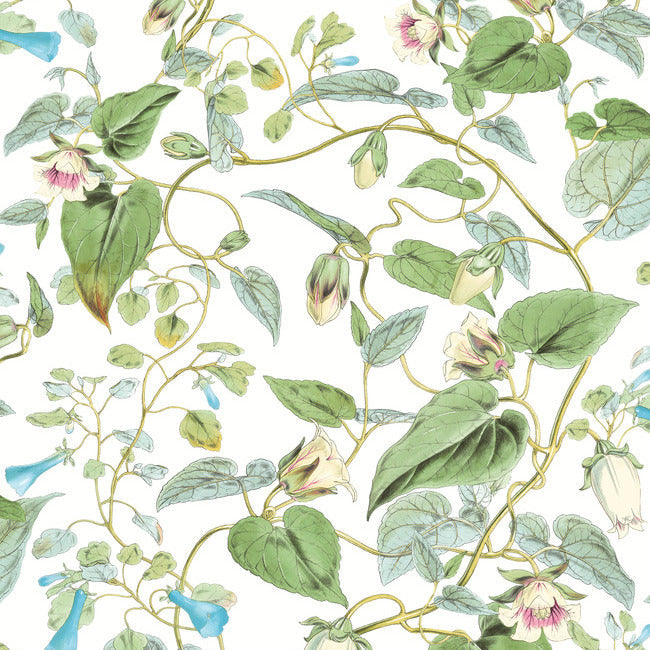 Moon Flower Wallpaper Wallpaper York Wallcoverings Double Roll White 