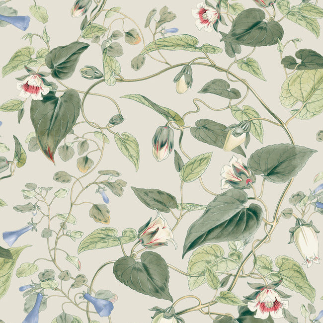 Moon Flower Wallpaper Wallpaper York Wallcoverings Double Roll Light Taupe 