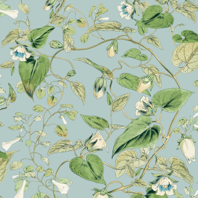 Moon Flower Wallpaper Wallpaper York Wallcoverings Double Roll Sky Blue 