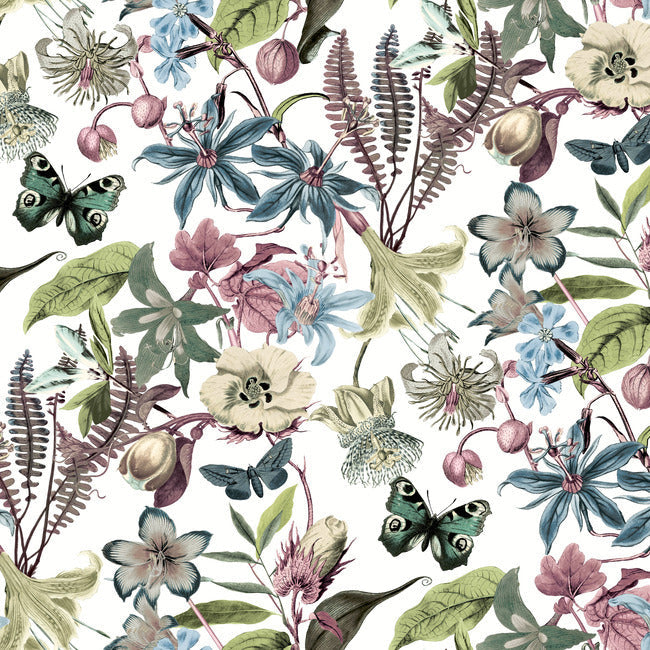 Butterfly House Wallpaper Wallpaper York Wallcoverings Double Roll White/Fuchsia 