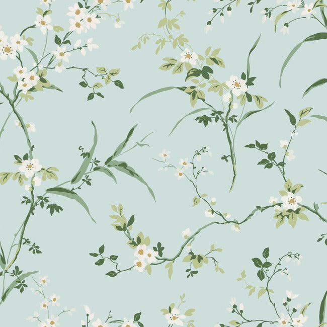 Blossom Branches Wallpaper Wallpaper York Wallcoverings Double Roll Spa Blue 