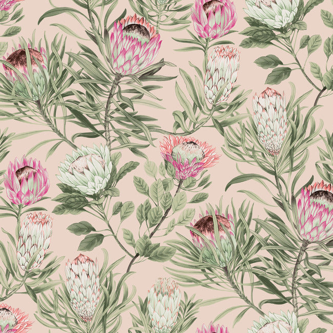 Protea Wallpaper Wallpaper York Wallcoverings Double Roll Blush 
