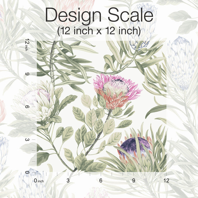 Protea Wallpaper Wallpaper York Wallcoverings   