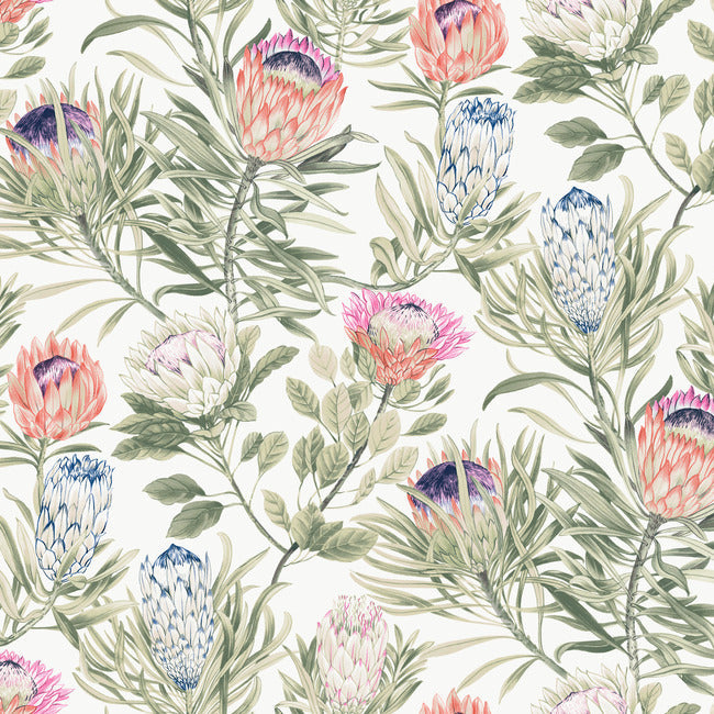 Protea Wallpaper Wallpaper York Wallcoverings Double Roll White/Fuchsia 