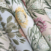 Protea Wallpaper Wallpaper York Wallcoverings   