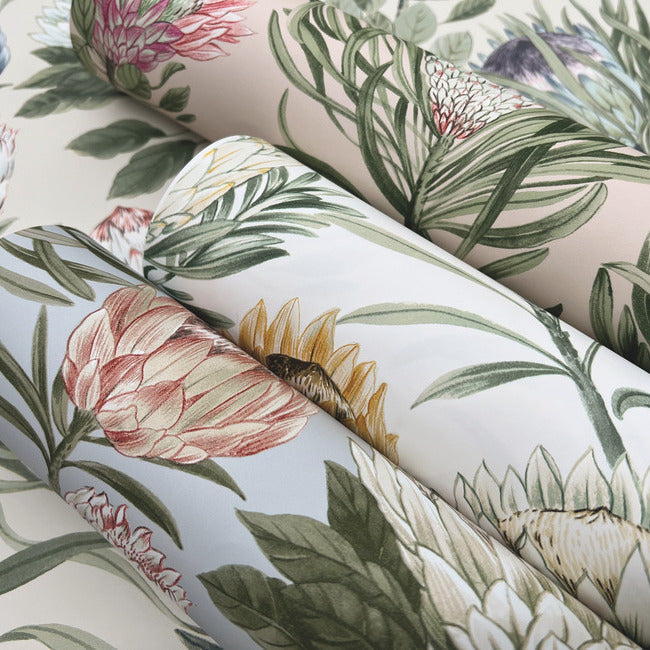 Protea Wallpaper Wallpaper York Wallcoverings   