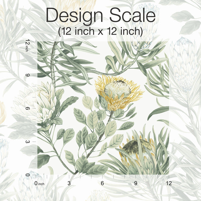Protea Wallpaper Wallpaper York Wallcoverings   
