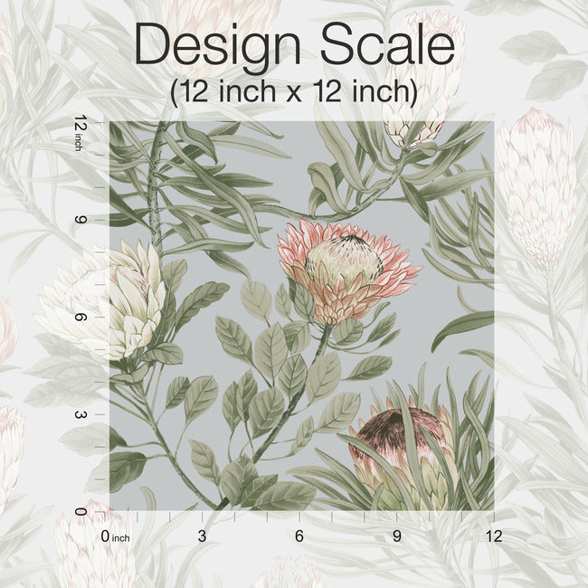Protea Wallpaper Wallpaper York Wallcoverings   