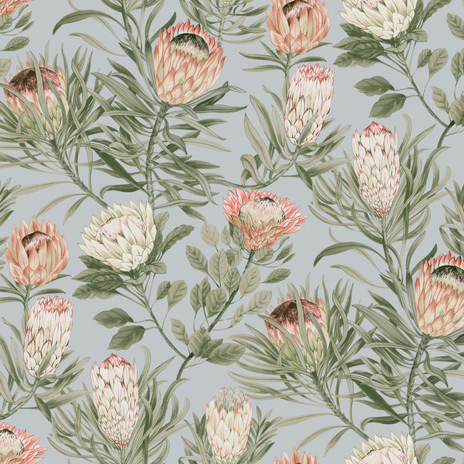 Protea Wallpaper Wallpaper York Wallcoverings Double Roll Dusty Blue/Coral 