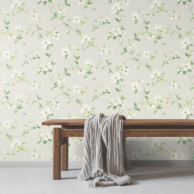 Dogwood Wallpaper Wallpaper York Wallcoverings   