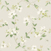 Dogwood Wallpaper Wallpaper York Wallcoverings Double Roll Light Grey 