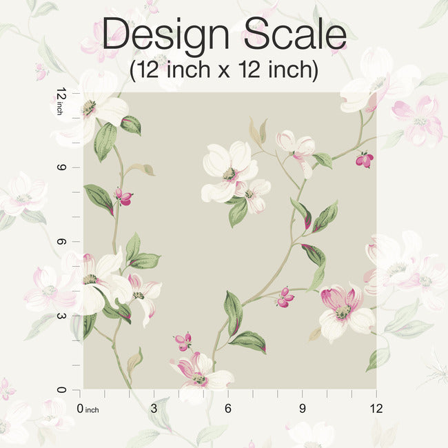 Dogwood Wallpaper Wallpaper York Wallcoverings   