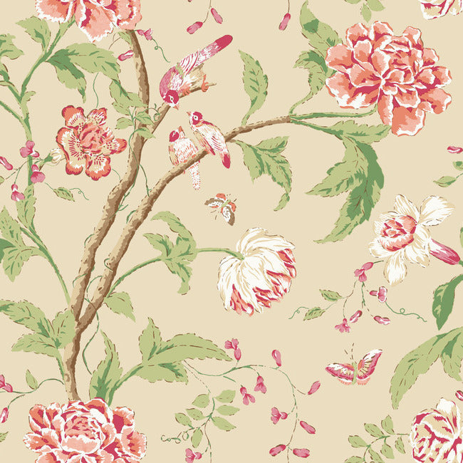 Teahouse Floral Wallpaper Wallpaper York Wallcoverings Double Roll Cream/Coral 