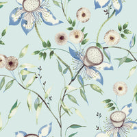 Dream Blossom Wallpaper Wallpaper York Wallcoverings Double Roll Light Blue 