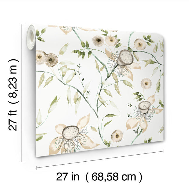 Dream Blossom Wallpaper Wallpaper York Wallcoverings   