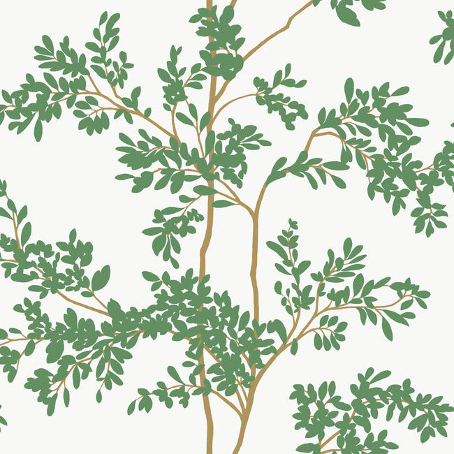 Lunaria Silhouette Wallpaper Wallpaper York Wallcoverings Double Roll White/Green 