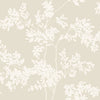 Lunaria Silhouette Wallpaper Wallpaper York Wallcoverings Double Roll Lt. Taupe/White 