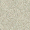 Kashmir Dreams Paisley Wallpaper Wallpaper Antonina Vella Double Roll Neutral Blush 