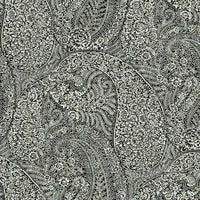 Kashmir Dreams Paisley Wallpaper Wallpaper Antonina Vella Double Roll Black 
