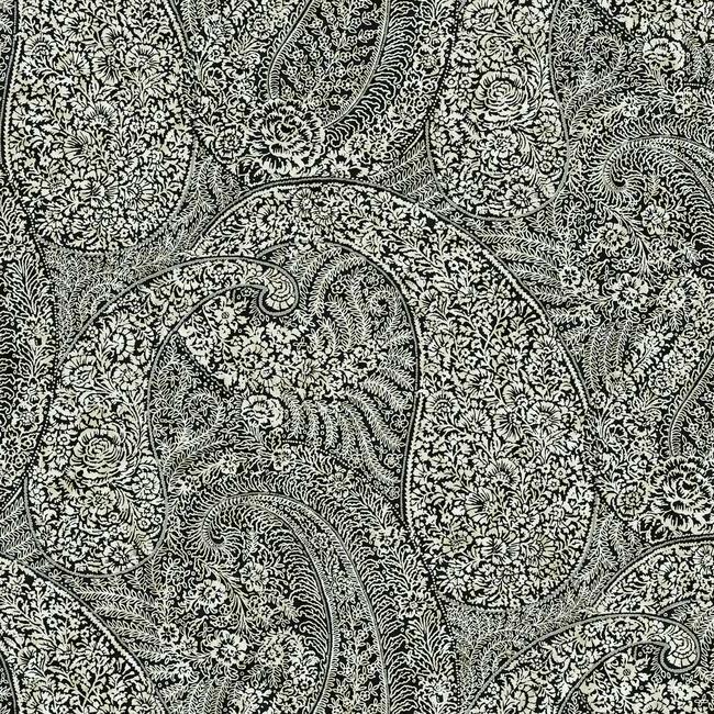 Kashmir Dreams Paisley Wallpaper Wallpaper Antonina Vella Double Roll Black 