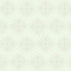 Starlight Wallpaper Wallpaper Antonina Vella Double Roll White/Warm Silver 