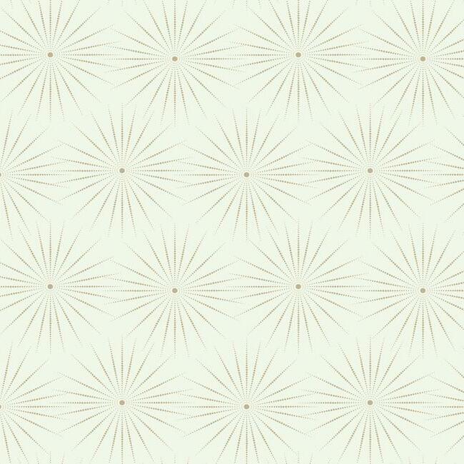 Starlight Wallpaper Wallpaper Antonina Vella Double Roll White/Warm Silver 